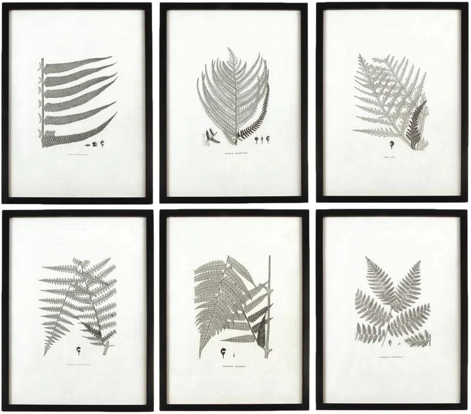 MY SWANKY HOME Modern Set of 6 Black White Fern Prints Botanical Framed Monochrome 29 in