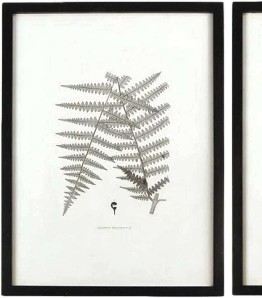 MY SWANKY HOME Modern Set of 6 Black White Fern Prints Botanical Framed Monochrome 29 in