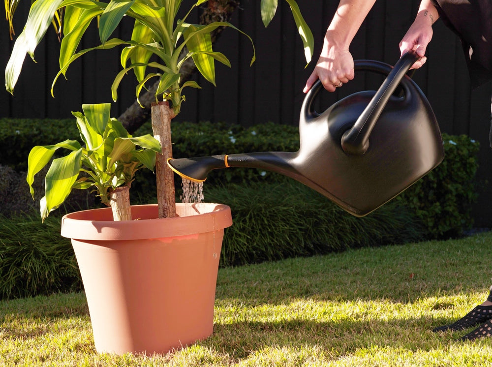 Easypour 2-in-1 Spout Watering Can with Dual Handle, 9.8-L, (2.6 US gal) Black