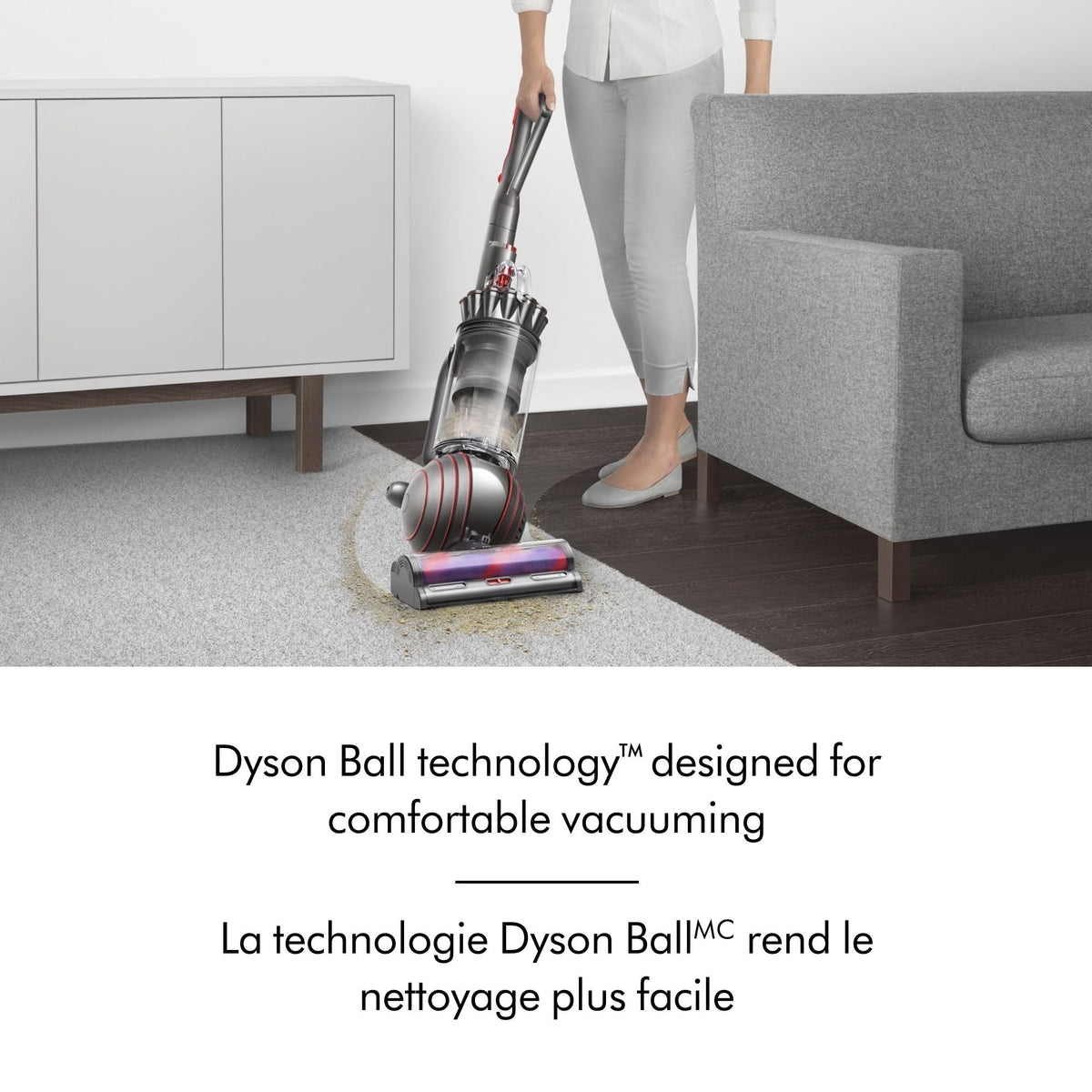 Ball Animal 3 Extra Upright Vacuum