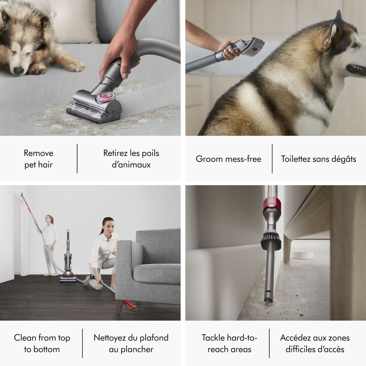 Ball Animal 3 Extra Upright Vacuum