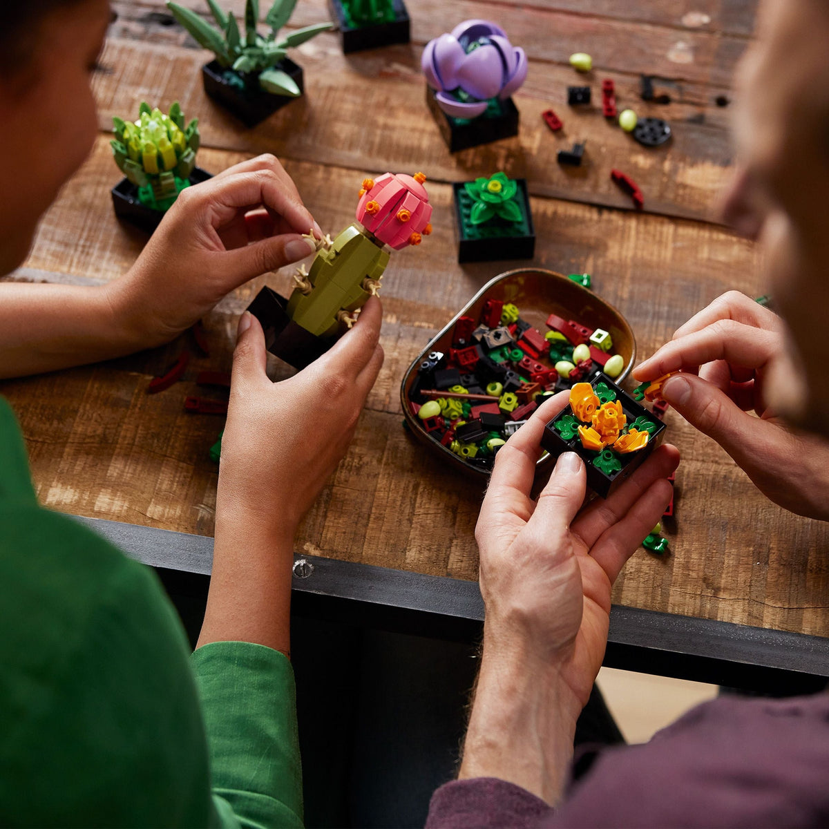 The Botanical Collection Succulents Building Set – 10309, 771-pcs, Ages 18+