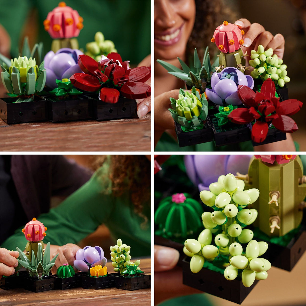 The Botanical Collection Succulents Building Set – 10309, 771-pcs, Ages 18+