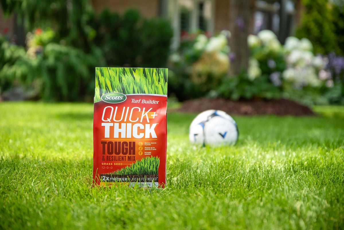 Turf Builder Quick + Thick Grass Seed Tough & Resilient Mix, 12-0-0, 1.2-kg
