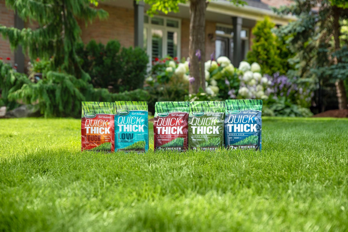 Turf Builder Quick + Thick Grass Seed Tough & Resilient Mix, 12-0-0, 1.2-kg