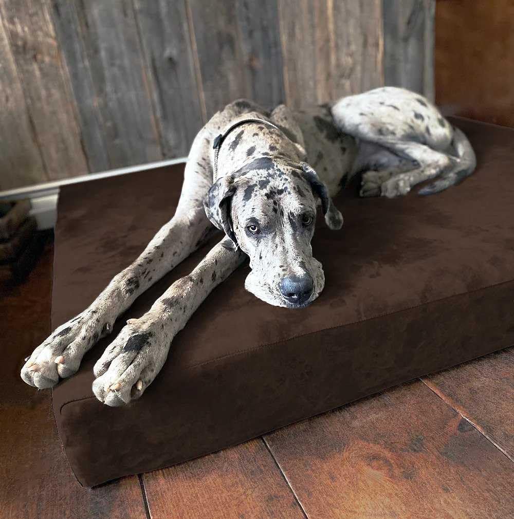 Fashion oversized dog bed (XL size, dark gray) - Thickness 7 inches, soft and comfortable, ergonomic cushion - Oversized dog bed - Durable and washable microfiber cover