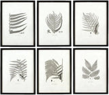 MY SWANKY HOME Modern Set of 6 Black White Fern Prints Botanical Framed Monochrome 29 in