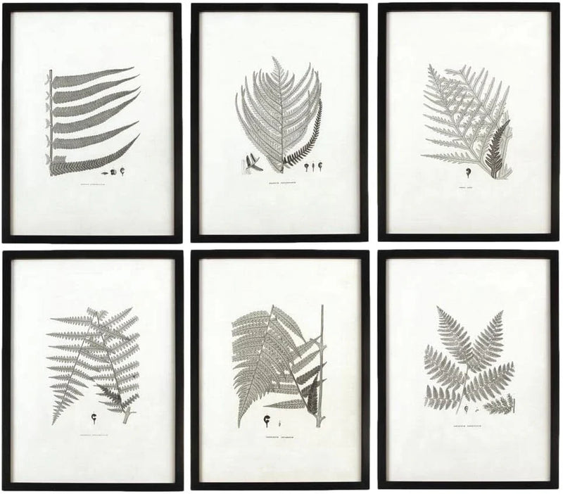 MY SWANKY HOME Modern Set of 6 Black White Fern Prints Botanical Framed Monochrome 29 in W131