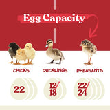 Farms Nurture Right Egg Incubator for Hatching Chicks - Holds 22 Eggs
