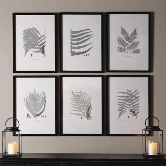 MY SWANKY HOME Modern Set of 6 Black White Fern Prints Botanical Framed Monochrome 29 in