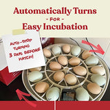 Farms Nurture Right Egg Incubator for Hatching Chicks - Holds 22 Eggs