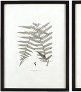 MY SWANKY HOME Modern Set of 6 Black White Fern Prints Botanical Framed Monochrome 29 in