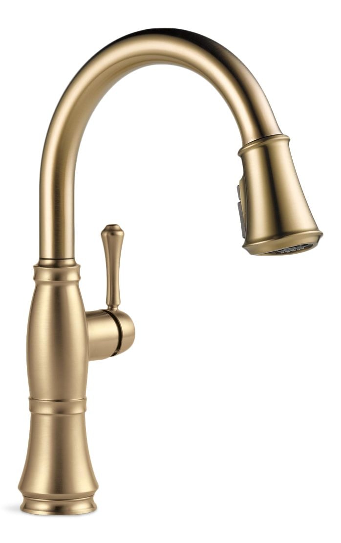 Cassidy 1-Handle ShieldSpray Pull-Down Kitchen Faucet, Champagne Bronze D3599