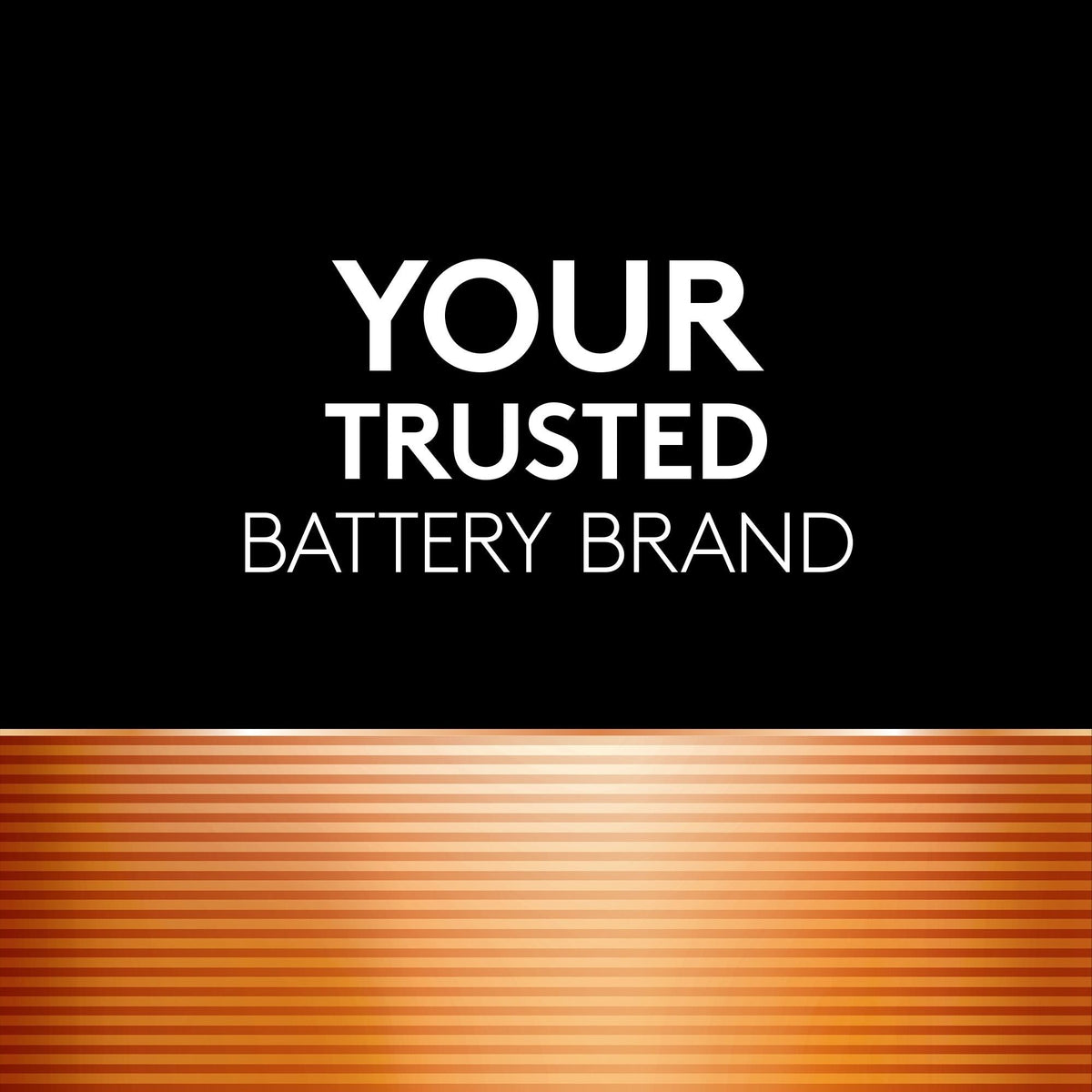 Coppertop AA Batteries, Alkaline, 4-pk