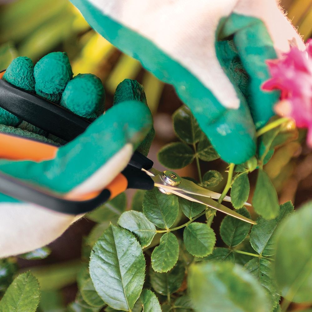 Micro-Tip Pruning Shears