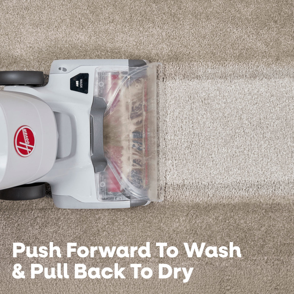 Hoover AllOut Plus Carpet Cleaner with StainShot Technology, Debris Catch, Edge to Edge Cleaning & Faster Drying
