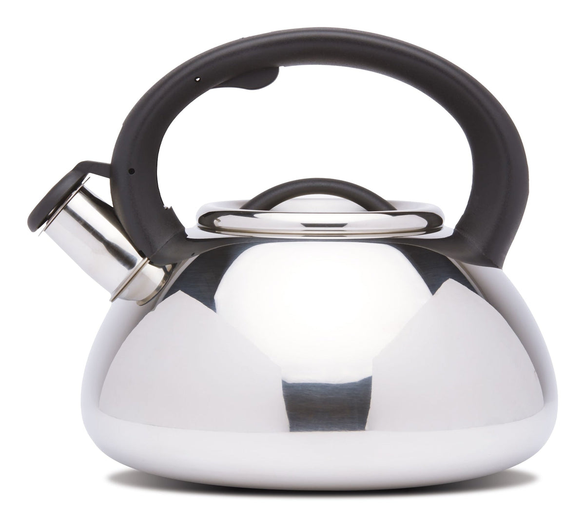 Stainless Steel Stovetop Kettle, 2.5-L