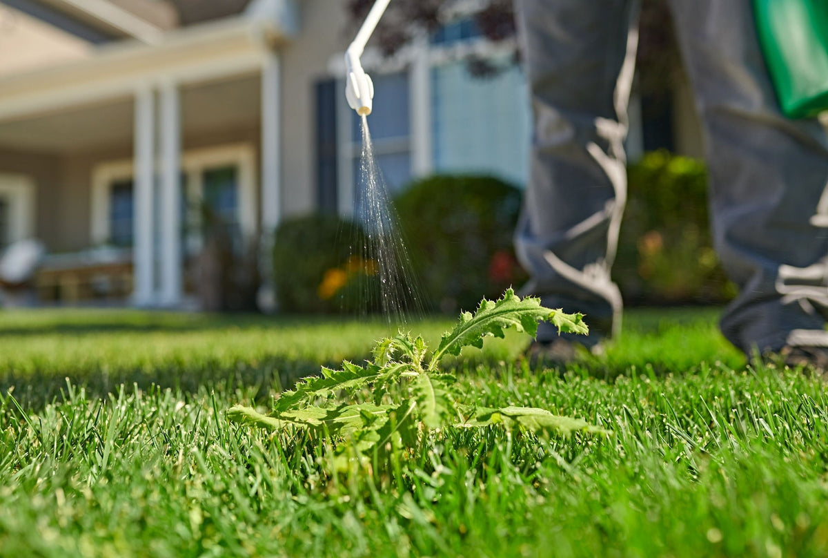 Killex Lawn Weed Control with Wand, 4-L