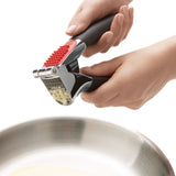 Stainless Steel Garlic Press