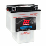 Commercial Group 26 12-Volt Battery, 450 CCA