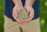 Turf Builder Quick + Thick Grass Seed Tough & Resilient Mix, 12-0-0, 1.2-kg