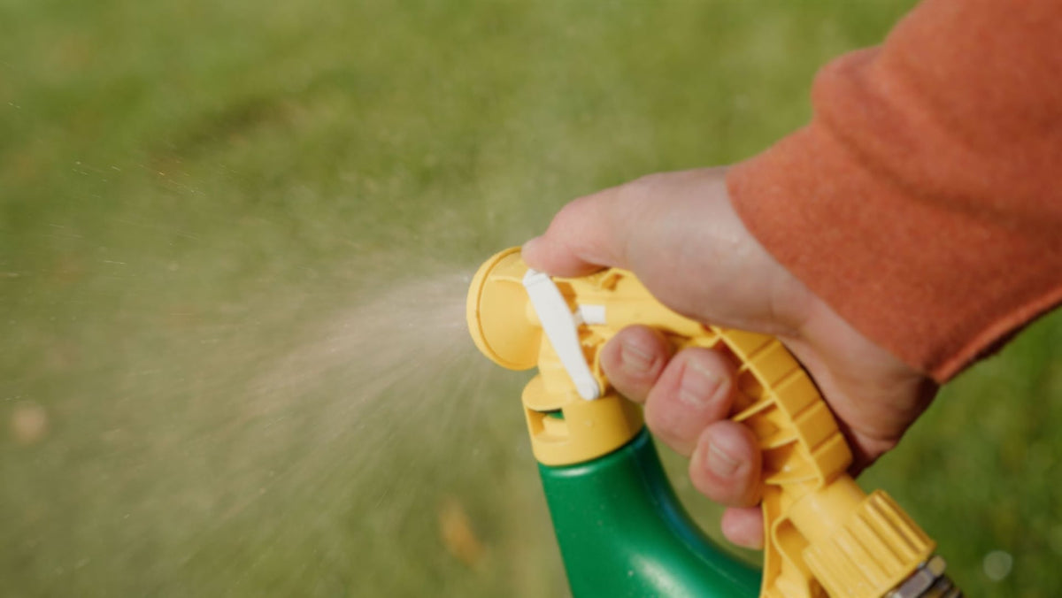 Weed B Gon MAX Ready-to-Spray Weed Control/Killer Concentrate, Herbicide for Lawns, 1-L