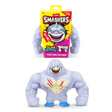 Slam Heroes Series 1 Brainrot