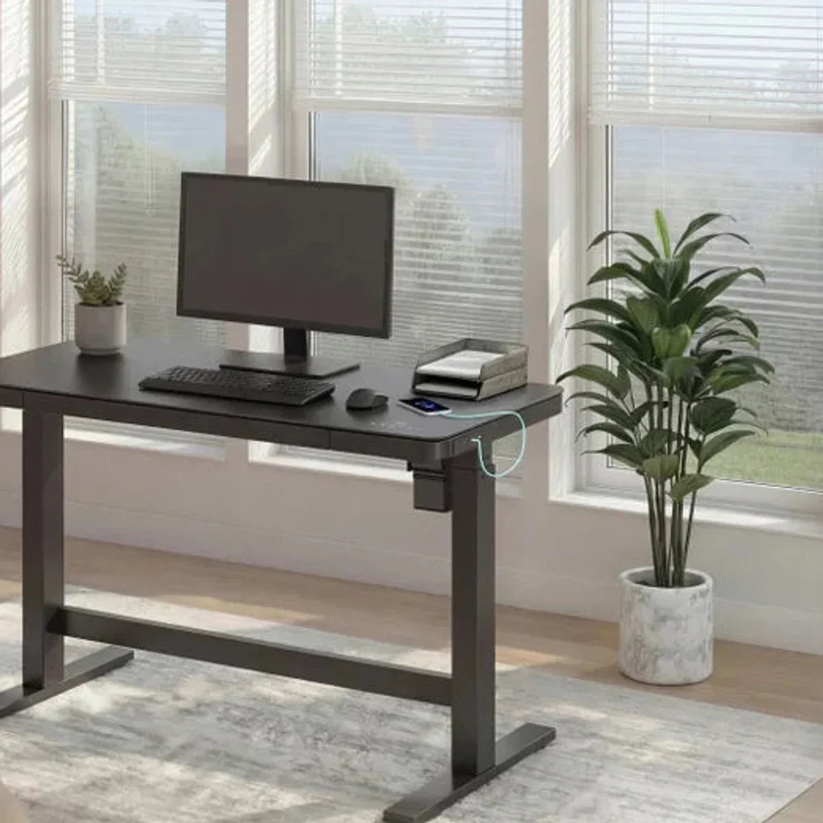 Tresanti Tessa 119.4 cm (47 in.) Adjustable Height Desk with LED Lighting, Black