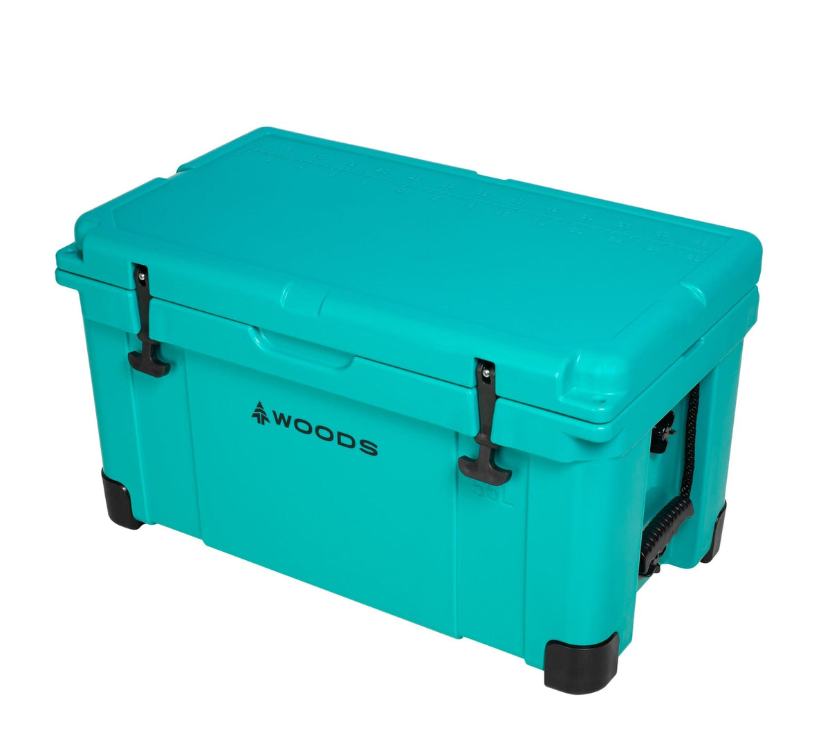 Woods ARCTIC Roto-Moulded Cooler, 55-L, Turquoise
